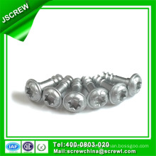 Special Pen Head Torx Head Tapping Screw for Matal